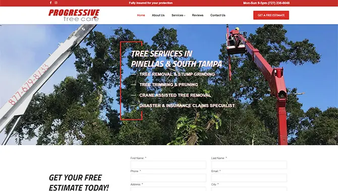 Progressive Tree Care